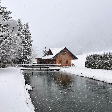 Вилла Chalet Am Teich Familie Gaenser Feistritz am Kammersberg Экстерьер фото