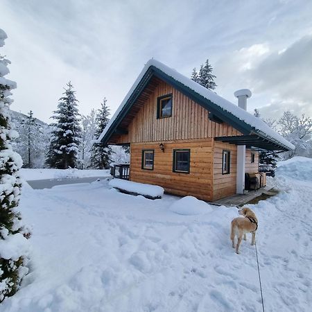 Вилла Chalet Am Teich Familie Gaenser Feistritz am Kammersberg Экстерьер фото