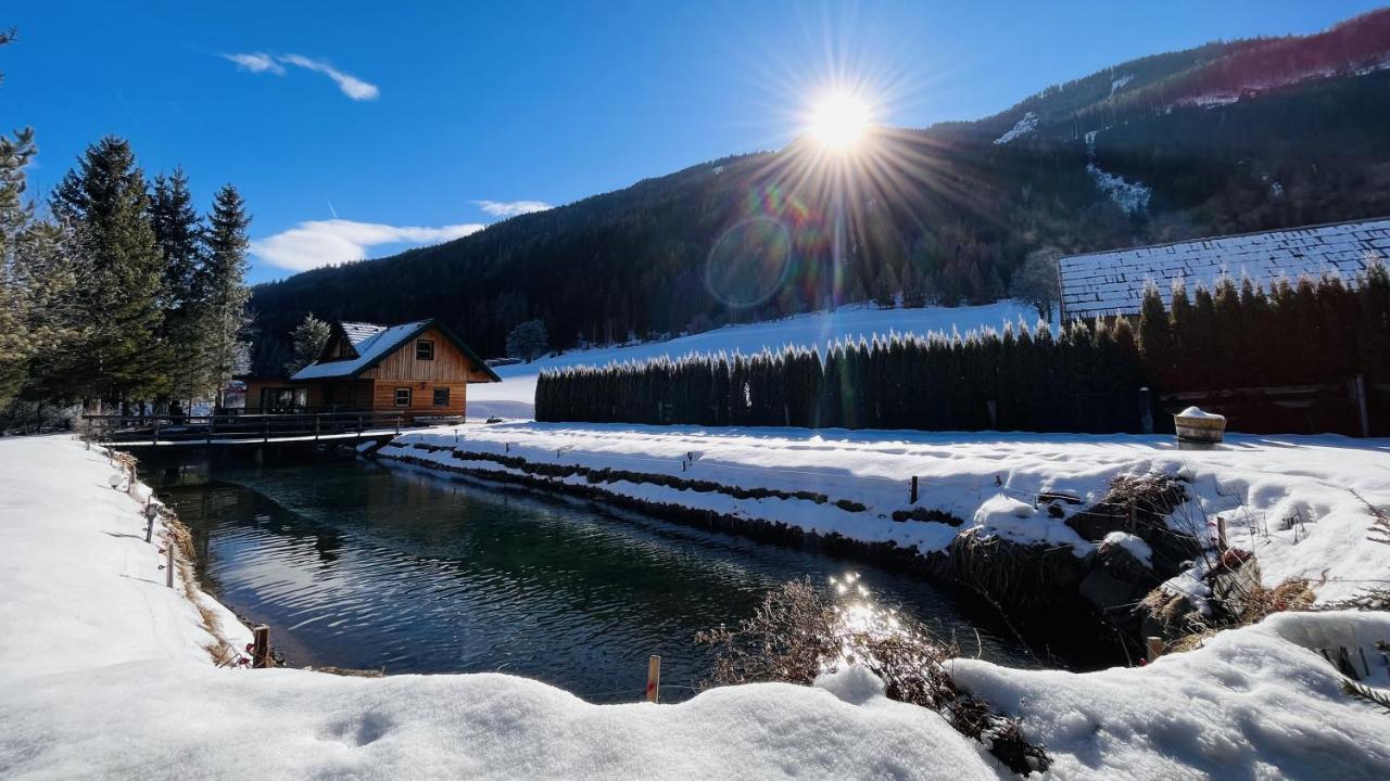 Вилла Chalet Am Teich Familie Gaenser Feistritz am Kammersberg Экстерьер фото