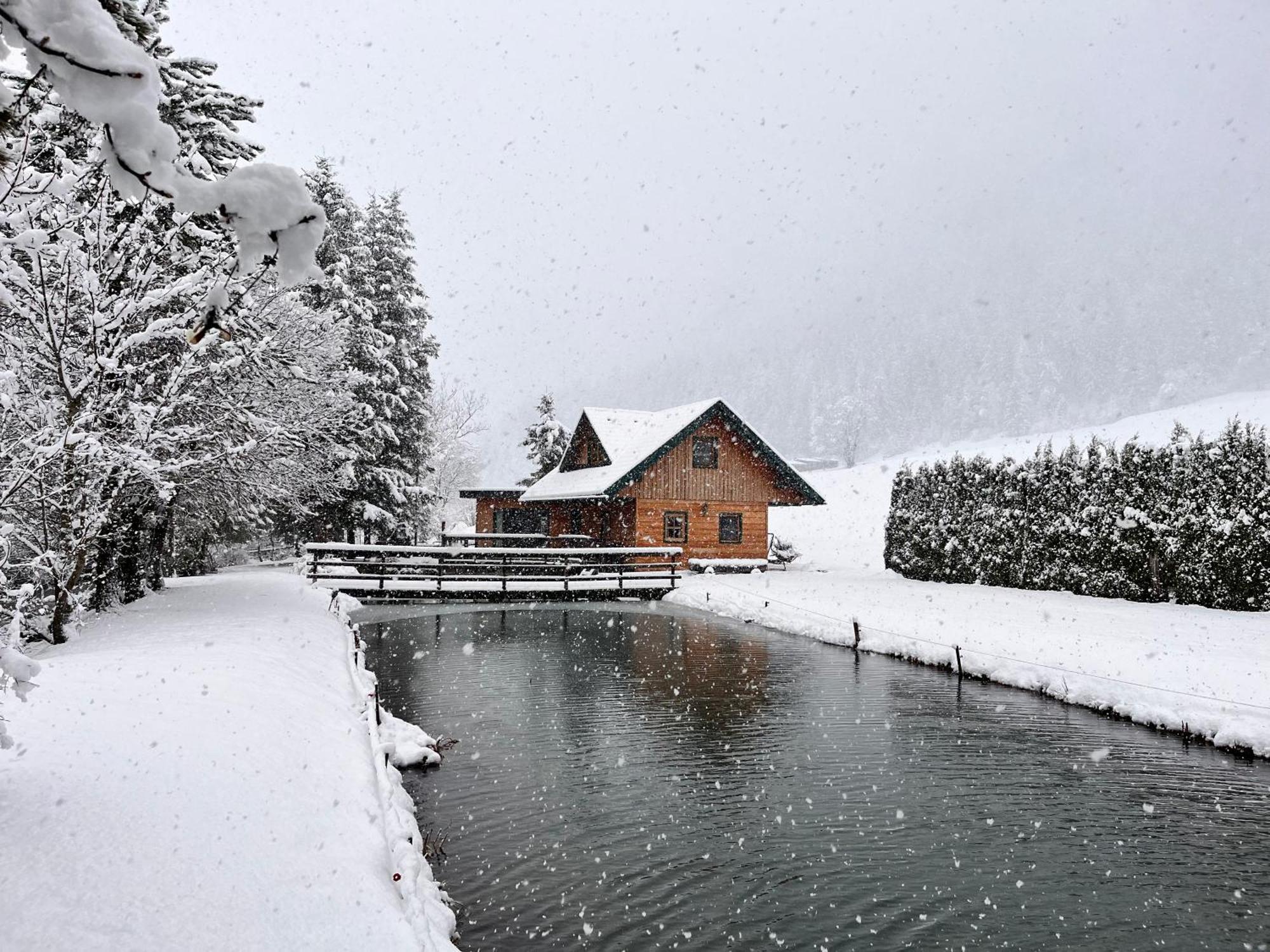 Вилла Chalet Am Teich Familie Gaenser Feistritz am Kammersberg Экстерьер фото