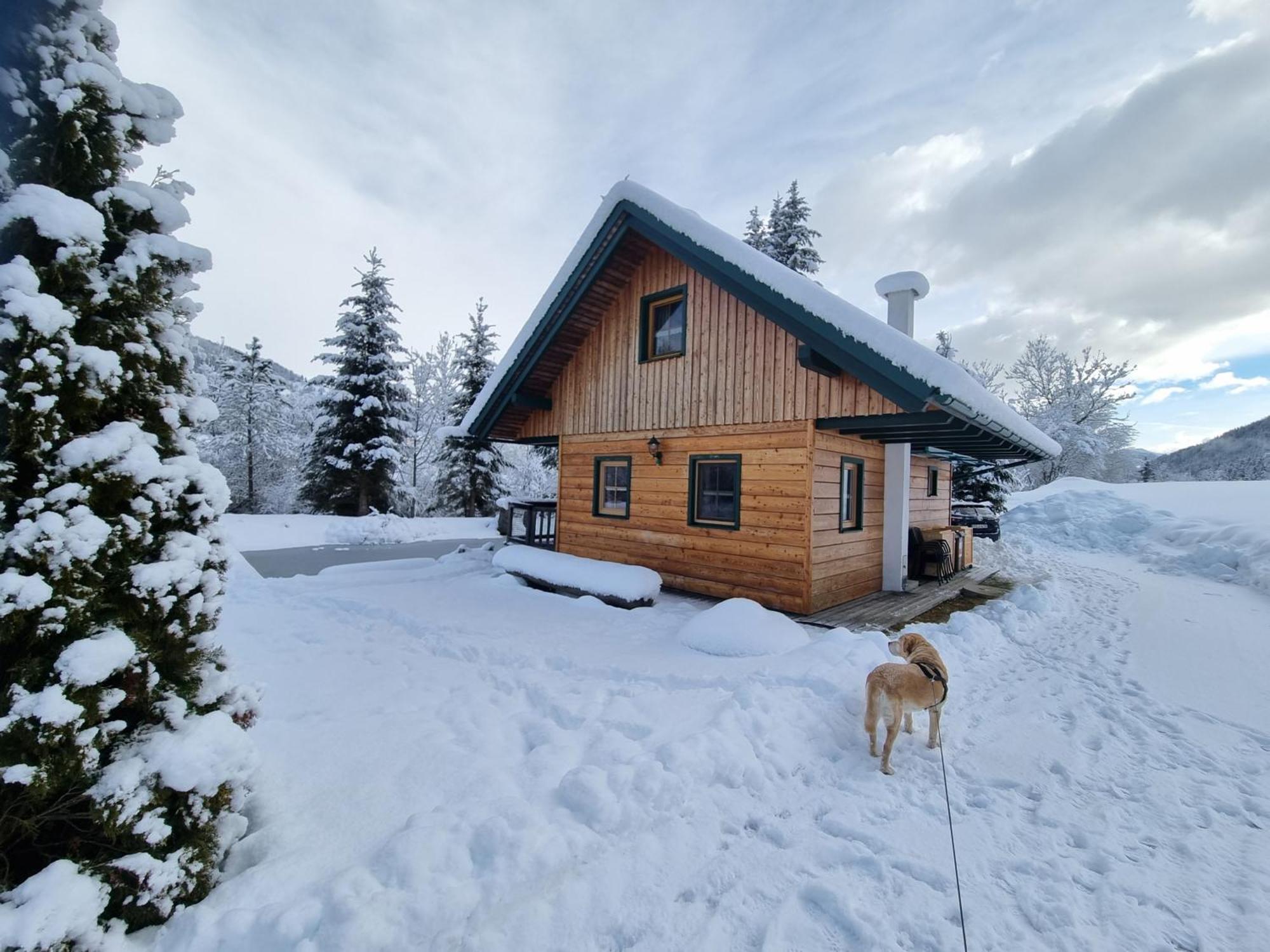 Вилла Chalet Am Teich Familie Gaenser Feistritz am Kammersberg Экстерьер фото