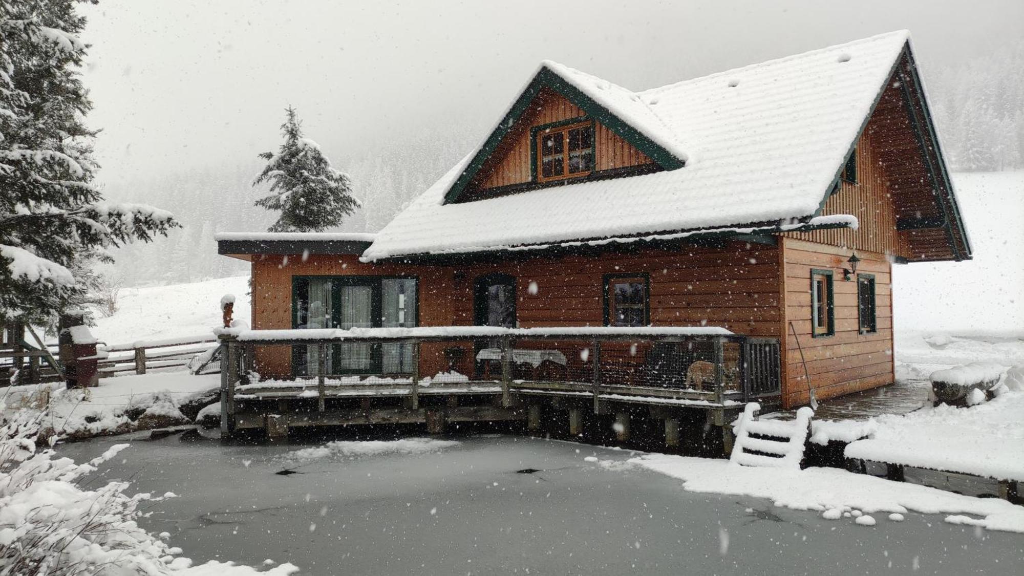 Вилла Chalet Am Teich Familie Gaenser Feistritz am Kammersberg Экстерьер фото